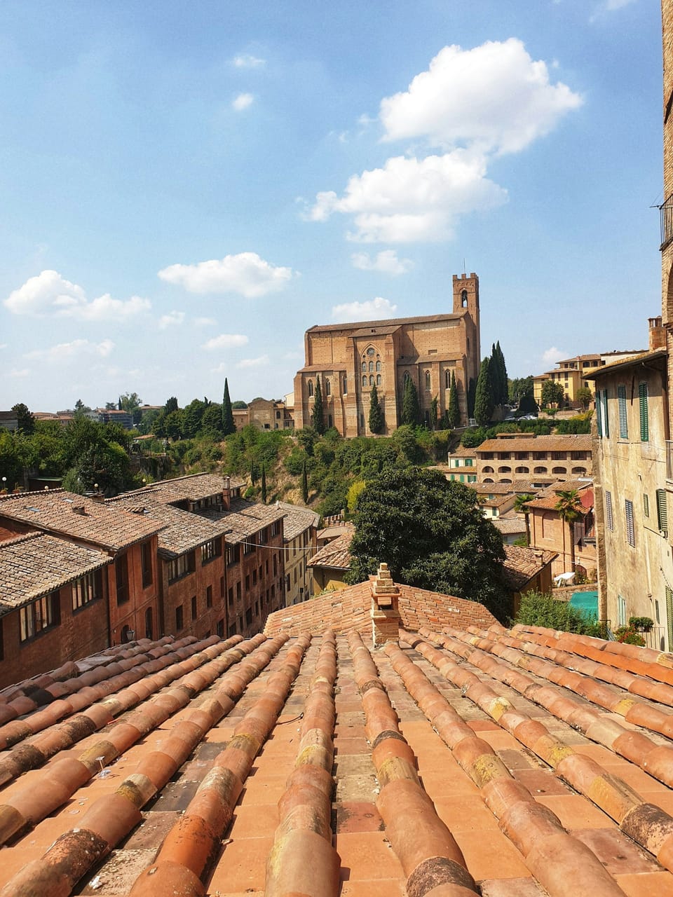 A large brick Gothic church with a tall bell tower rising above tiled roofs